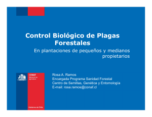 Control Biológico de Plagas Forestales