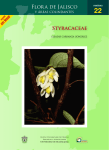 Flora de Jalisco StyRAcAcEAE