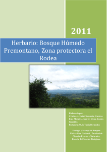 Herbario: Bosque Húmedo Premontano,