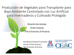 Producción de Vegetales para Transplante para Bajo Ambiente
