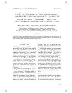 nueva localidad en chile para menodora linoides phil.