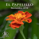 El Papelillo - Vallarta Botanical Gardens