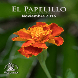 El Papelillo - Vallarta Botanical Gardens