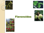 Flavonoides y compuestos relacionados