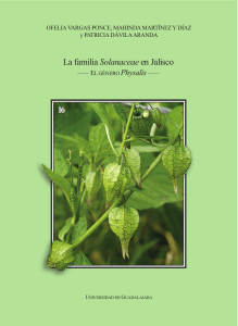 16 La familia Solanaceae en Jalisco