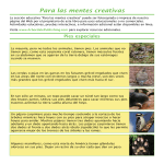 Para las mentes creativas