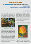Leer mas... - Proyecto Forestal Ibérico