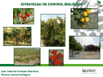 control biológico inoculativo