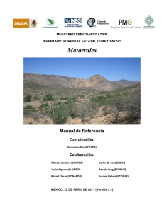 Matorrales - Programa Mexicano del Carbono