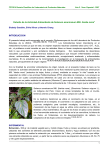 Estudio de la Actividad Antioxidante de Solanum americanum Mill