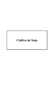 Cultivo de Soja - BibliotecaDeaMag