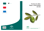 plagas y enfermedades del olivo