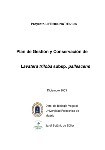 Plan de Gestión y Conservación de Lavatera triloba subsp. pallescens