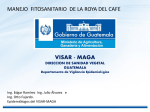 VISAR - MAGA MANEJO FITOSANITARIO DE LA ROYA DEL CAFE