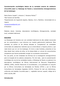 Caracterización morfológica básica de la variedad canaria de