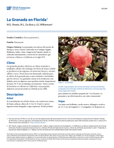 La Granada en Florida1 - EDIS