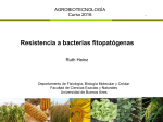 Resistencia a bacterias fitopatógenas - FBMC