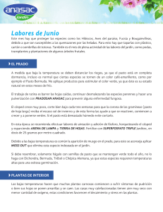 Labores del Mes (PDF/0 B)