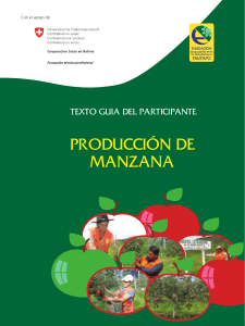 PRODUCCIÓN DE MANZANA