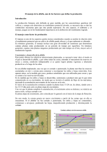 El manejo de alfalfa, uno de los factores que define la