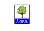 Actividades_Arbol - Asociación Navarra de Autismo