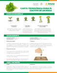 carta tecnológica para el cultivo de lechuga - inifap