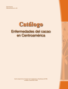 Catálogo - Cacao de Costa Rica