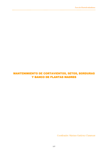 mantenimiento de cortavientos, setos, borduras y banco de plantas