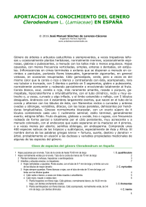 Aportación al conocimiento del género Clerodendrum en España