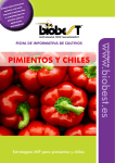 PIMIENtOS Y CHILES