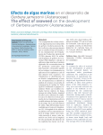 Efecto de algas marinas en el desarrollo de The effect of seaweed