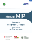 Manual MIP
