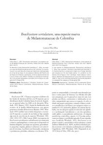 Brachyotum sertulatum - Anales del Jardín Botánico de Madrid