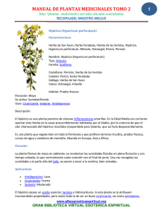 manual de plantas medicinales tomo 2