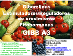 GIBB A3 - giberelina