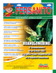 fersanito- boletín informativo 2009