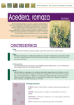 Ficha de la Acedera, Romaza (Rumex)