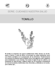 tomillo - Ririki