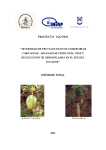 Informe diversidad de frutales nativos comestibles caricaceae