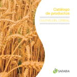 Catálogo de productos