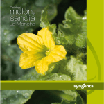 catalogo-melon-sandia-la-mancha