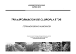 Clase 5 Transformacion de cloroplastos AGBT Blanco y