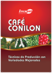 café conilon - Biblioteca do Incaper