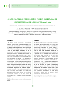 anatomía foliar, morfología y ploidia en festucas de hojas estrechas
