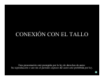 CONEXIÓN CON EL TALLO