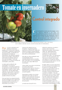 Tomate en invernadero: control integrado