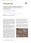 limonium densissimum - Sociedad Gaditana de Historia Natural