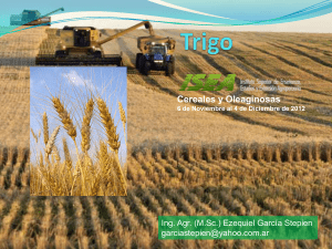 Trigo Introducción - Instituto Superior de Enseñanza, Estudios y