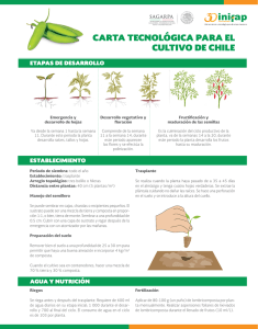 carta tecnológica para el cultivo de chile - inifap