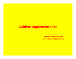 Cultivos Suplementarios